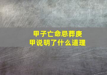 甲子亡命忌葬庚甲说明了什么道理