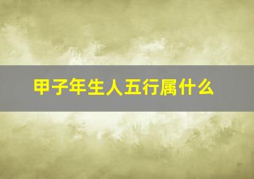 甲子年生人五行属什么