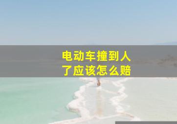 电动车撞到人了应该怎么赔