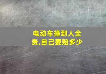 电动车撞到人全责,自己要赔多少