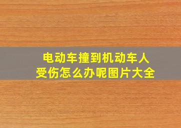 电动车撞到机动车人受伤怎么办呢图片大全