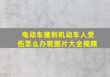 电动车撞到机动车人受伤怎么办呢图片大全视频