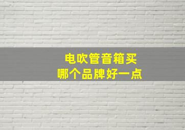 电吹管音箱买哪个品牌好一点