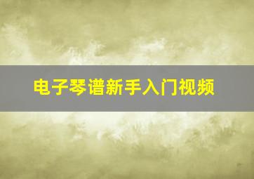 电子琴谱新手入门视频