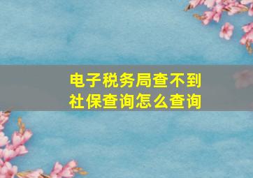 电子税务局查不到社保查询怎么查询