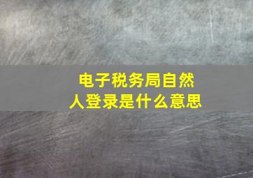 电子税务局自然人登录是什么意思