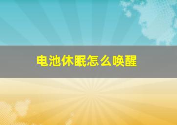 电池休眠怎么唤醒