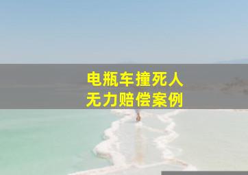 电瓶车撞死人无力赔偿案例