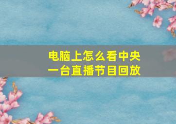 电脑上怎么看中央一台直播节目回放