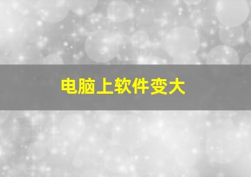 电脑上软件变大