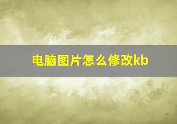 电脑图片怎么修改kb