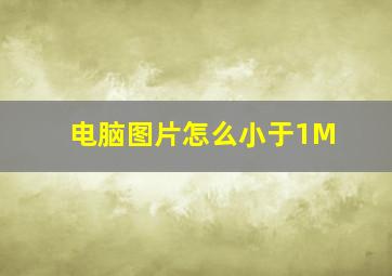 电脑图片怎么小于1M