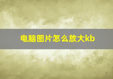 电脑图片怎么放大kb