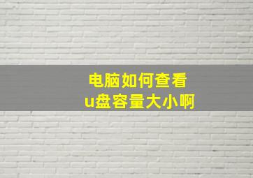 电脑如何查看u盘容量大小啊