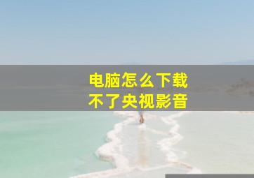 电脑怎么下载不了央视影音