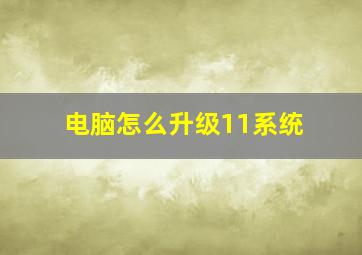 电脑怎么升级11系统