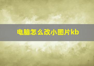 电脑怎么改小图片kb