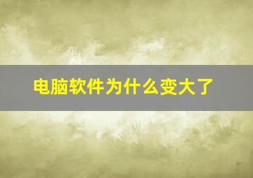 电脑软件为什么变大了