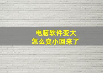 电脑软件变大怎么变小回来了