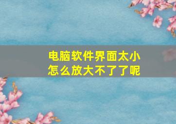 电脑软件界面太小怎么放大不了了呢