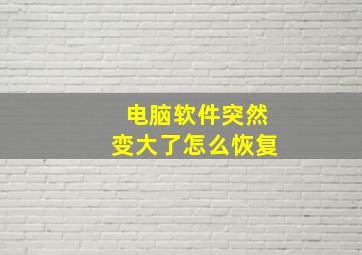 电脑软件突然变大了怎么恢复