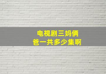 电视剧三妈俩爸一共多少集啊