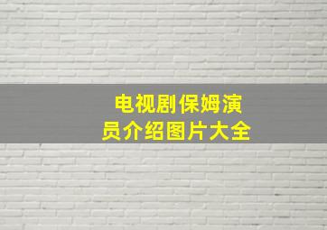 电视剧保姆演员介绍图片大全