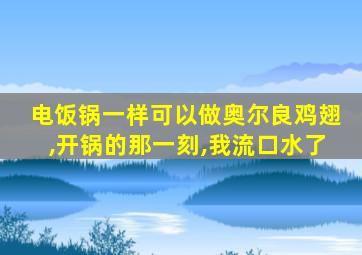 电饭锅一样可以做奥尔良鸡翅,开锅的那一刻,我流口水了