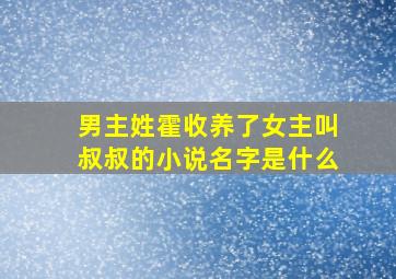 男主姓霍收养了女主叫叔叔的小说名字是什么