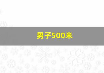 男子500米