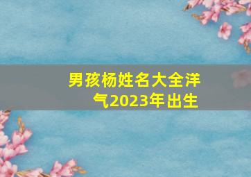 男孩杨姓名大全洋气2023年出生