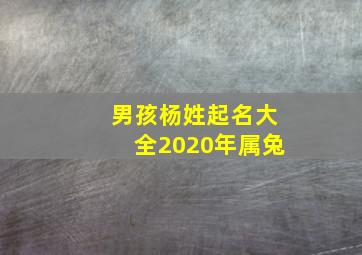 男孩杨姓起名大全2020年属兔