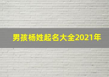 男孩杨姓起名大全2021年