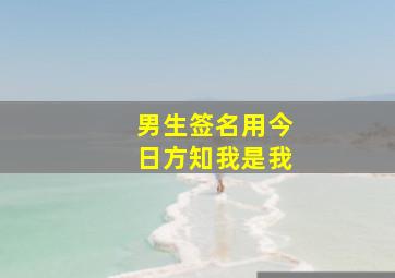 男生签名用今日方知我是我