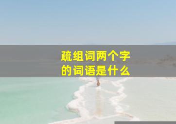 疏组词两个字的词语是什么