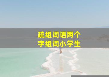 疏组词语两个字组词小学生