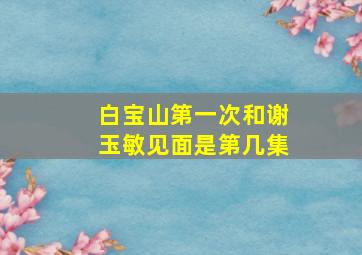 白宝山第一次和谢玉敏见面是第几集