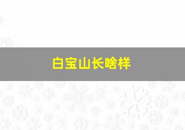 白宝山长啥样