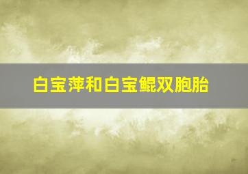 白宝萍和白宝鲲双胞胎