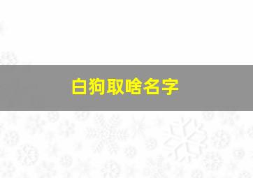 白狗取啥名字