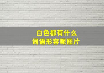 白色都有什么词语形容呢图片