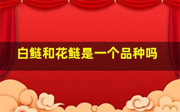 白鲢和花鲢是一个品种吗