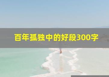 百年孤独中的好段300字