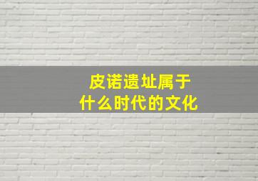 皮诺遗址属于什么时代的文化