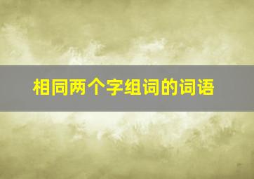 相同两个字组词的词语