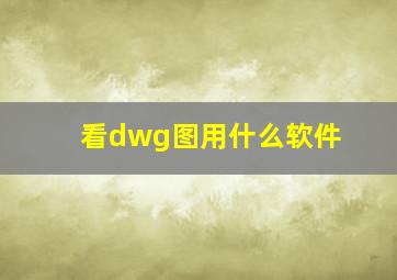 看dwg图用什么软件