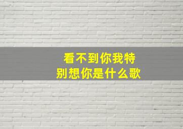 看不到你我特别想你是什么歌