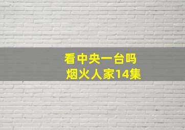 看中央一台吗烟火人家14集