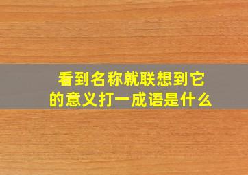 看到名称就联想到它的意义打一成语是什么