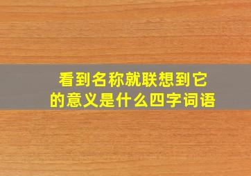 看到名称就联想到它的意义是什么四字词语